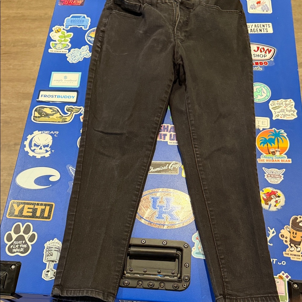 Women’s Size 14 Petite Time and Tru High Rise Skinny Jeans